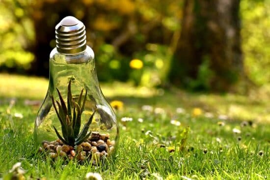 Lampadine: Le nuove etichette dall’Unione Europea.