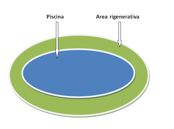 Biopiscina: Cos'è e come realizzarla nel tuo giardino? 2 Progetto piscina
